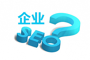 网站建设与软件服务 数字化时代的两大驱动力